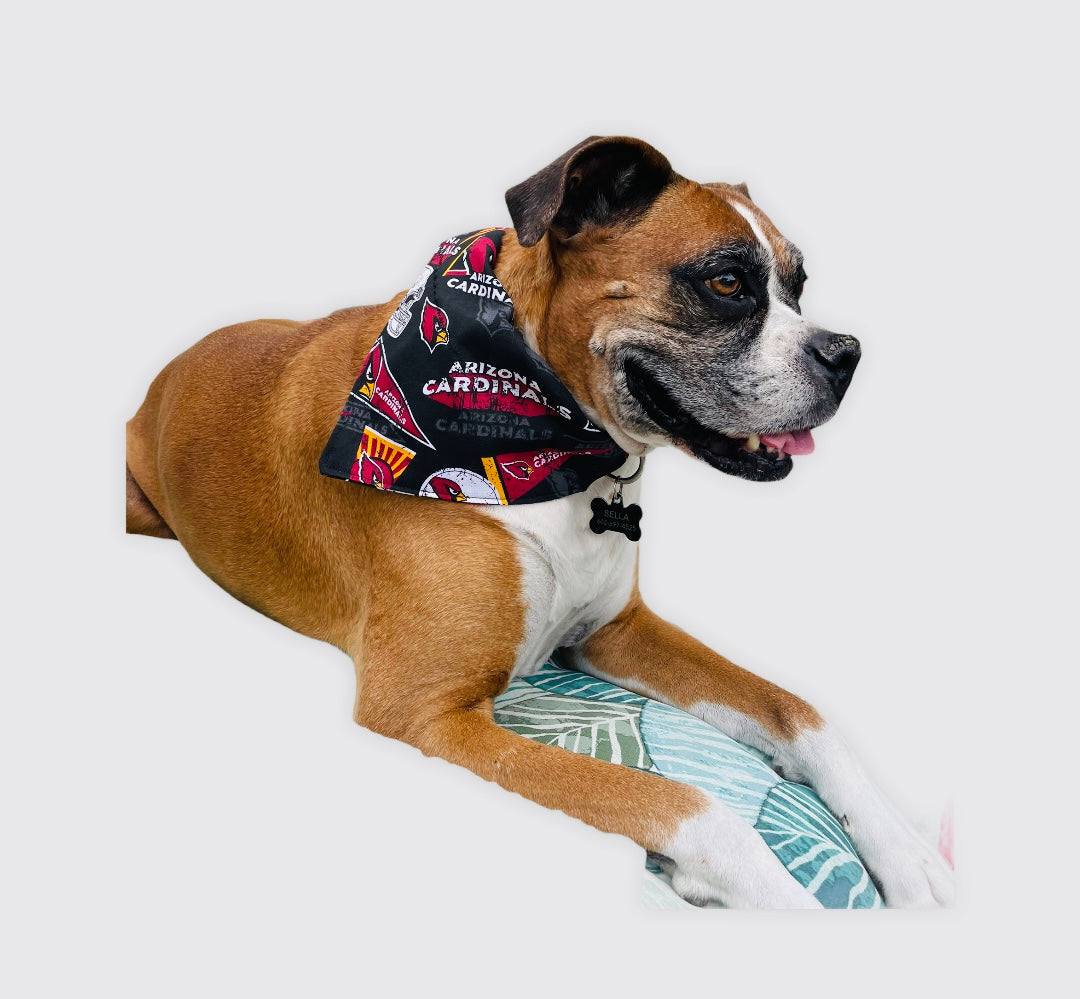 Butterfly Dog Bandana Collar