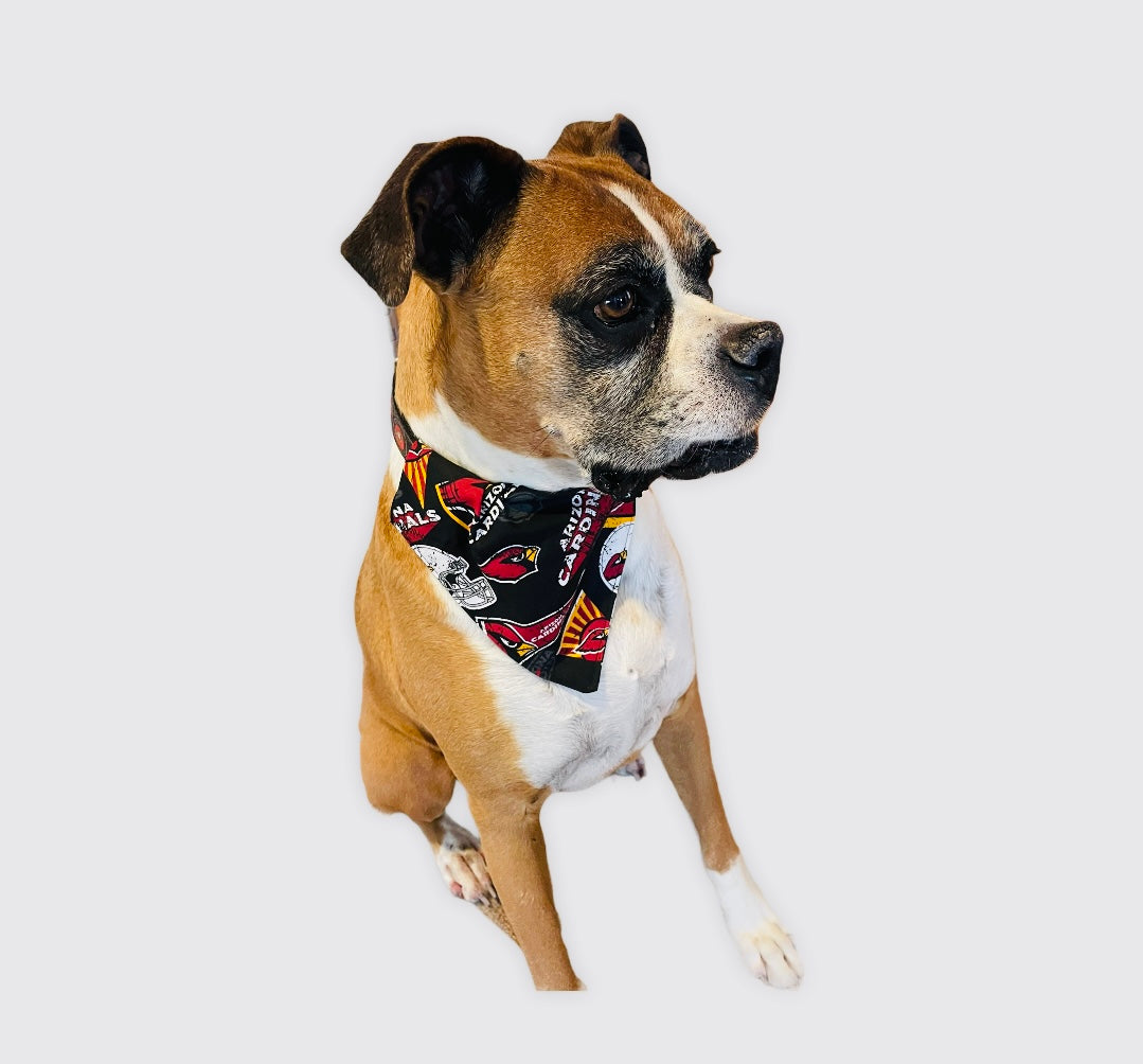 Butterfly Dog Bandana Collar